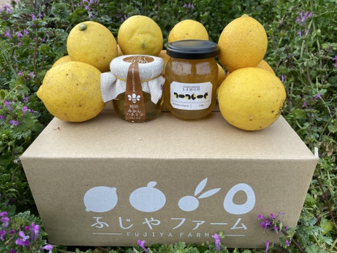【初回限定BOX】「ふじやファーム」お試しセット 大崎上島産 B級品レモン2kg レモンマーマレード1本 みかんハチミツ1本