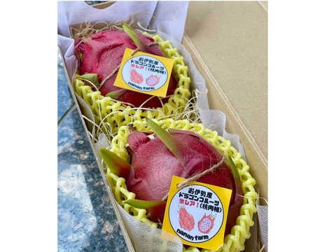 (赤肉種&桃肉種-ダークスター)採れたて新鮮‼︎甘さしっかり‼︎ドラゴンフルーツ計2kg