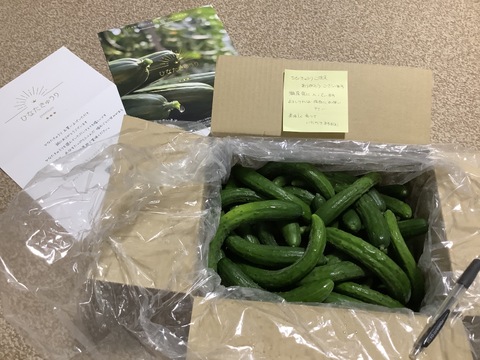 太陽のごちそう！チビひなたきゅうり希少品(箱重量込)2kg