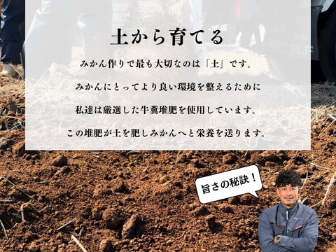 【家庭用5kg】濃厚でジューシー！潮風を浴びた高知県育ちの土佐文旦　柑橘みかん　オレンジ