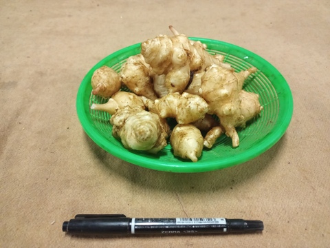 【話題のスーパーフード!!】　菊芋 2kg (250gx8p)