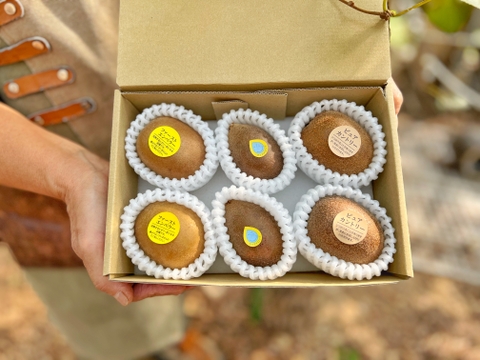 スウィートキウイ3種セット（中身は農家がその時期にあった一番おいしいものを厳選して発送いたします）S箱６個入り！