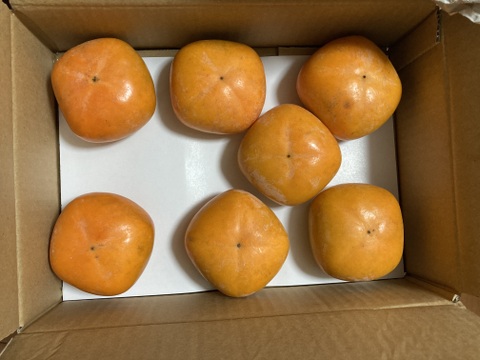 【秋の味覚】和歌山県産　たね無し柿(刀根早生)　A品2Lサイズ8個入り。
