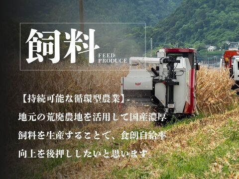 【添加物なし!!】鹿児島黒豚ノン・アッドソーセージ詰合せ