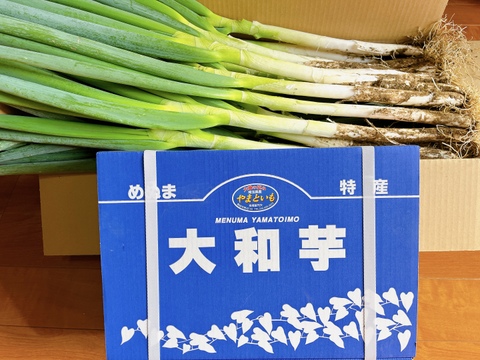 野菜セット、ネギ6Kg、大和芋4Kg