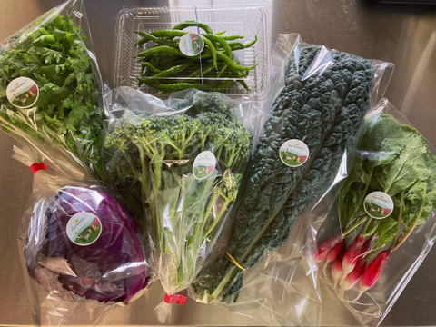 季節の西洋野菜 仕入パック 60サイズ