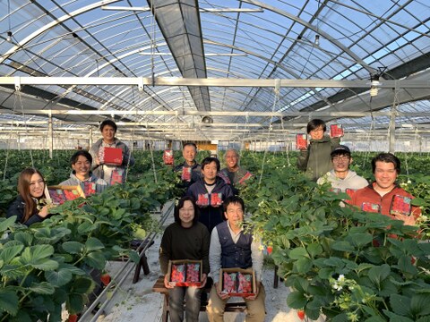 【全国いちご選手権銀賞受賞！】《贈答》おいCベリー他『晴れの国岡山の樹上完熟いちご』特選400g贈答ギフト（品種おまかせ、約400g）