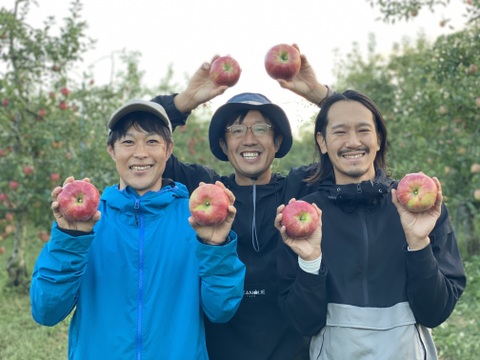 特大サイズ【シナノスイート】あま〜い誘惑♡信州りんご人気品種 5kg（11.12玉）