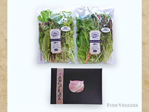 山桜いぶしももハム200gと季節のサラダセット80g×2袋