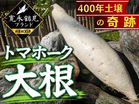 【相葉マナブ出演で話題】生産量全体の１％『奇跡のトマホーク大根』400年土壌の栄養を最大限享受したブランド大根💡寛永鶴見ブランドお試しキャンペーン【冬ギフト】