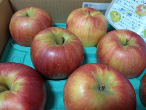 ★売りつくしセール★信州安曇野産りんご🍎シナノスイート🍎【3kg家庭用🍎8個～12個入り】〜見た目は劣っても味はそのままのワケアリりんごたちを詰め合わせました〜※化学合成農薬約40％削減