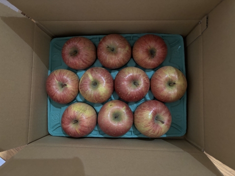 限定販売！　雪室りんご🍎　約3kg