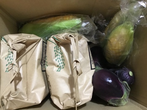 令和7年新潟産　植酸栽培　従来コシヒカリ　5kg