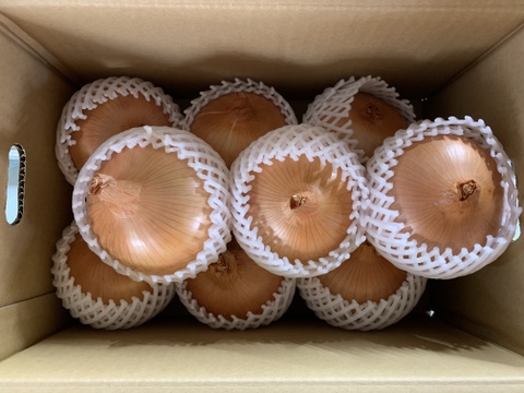 【冬ギフト】淡路島極熟玉葱9玉🧅玉ねぎ大国淡路島からの玉ねぎ