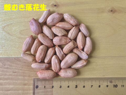 【殻むき薄皮付き】乾燥生落花生850g【ジャンボピーナッツ・極大粒】【農薬・化学肥料不使用】【天日乾燥】【令和6年・岐阜県産】
【クリックポスト配送】
