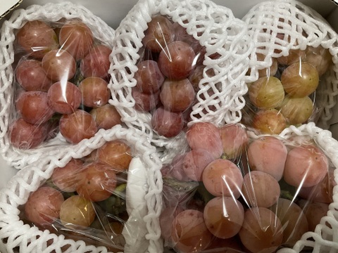 ク④【クイーンニーナ】2kg化粧箱（4~6カット房）