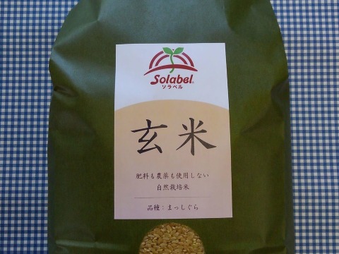 【セット⑭】♥自然栽培玄米5kg×4袋♥