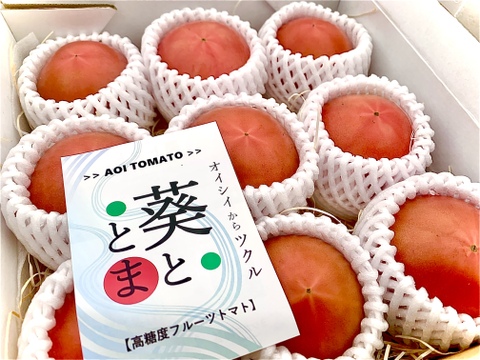 【贈答用A】1.0kg 凝縮大玉塩フルーツトマト