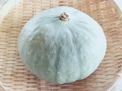 カボチャ 紅白セット(約2.5kg 2玉）べにくり＆雪化粧！【冬ギフト】