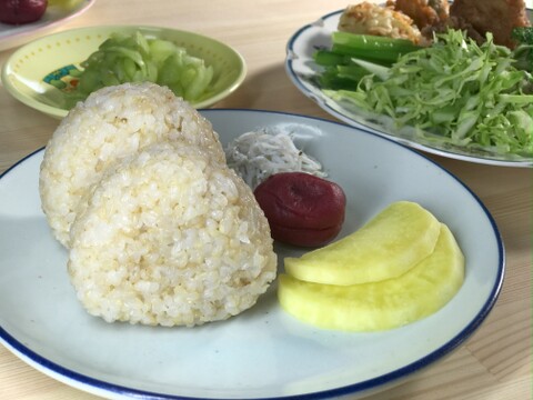 コシヒカリ５分づき精米５㎏　 小松島市生物多様性農業推進協議認証　いのちはぐくむ田んぼ米　令和7年産特別栽培米コシヒカリ玄米100%使用