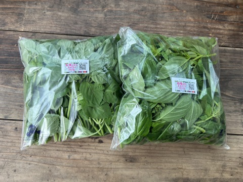 ☆有機JAS認証☆【ホーリーバジル＆バジルセット】500g×2袋