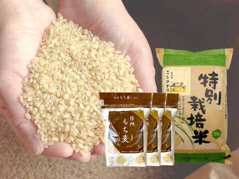 新米【玄米5kg】＋【もち麦3㎏】残留農薬ゼロ！情熱の結晶！つぶ感が人気の 信州産 こしひかり 令和3年産