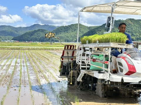 コウノトリ舞いおりるコシヒカリ 特別栽培米 六方銀米 玄米 5ｋｇ