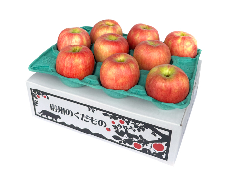 食べ応え抜群 シナノドルチェ 3キロ箱6玉〜15玉サイズ 商品ID41173 長野県 信州 安曇野 リンゴ 幻 幻のリンゴ 予約 希少 旬