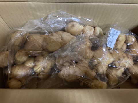 冬を乗り切る！生姜で料理を楽しもう！生姜（2㎏）