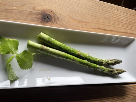 【北海道産】風のアスパラ 　栽培期間農薬不使用　サイズミックス500g