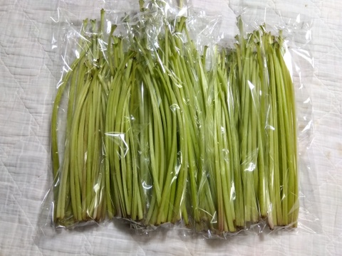 春の山菜
【蕗】　約1.7Kg
5月1日収穫・5月2日出荷出来ます
本日限りの出展です。
たくさん有りますので「佃煮・天婦羅・寿司の具・煮物」何でも出来ます。