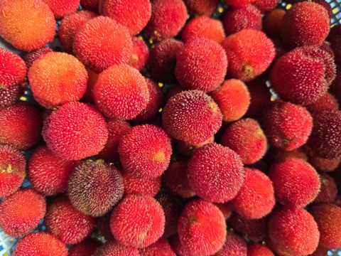 ★最終品！　自然栽培　ヤマモモ　1キロ～　秀峰　秀光　チルド便