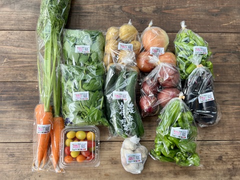 ☆有機JAS認証☆おまかせ野菜セット☆100サイズ箱詰め