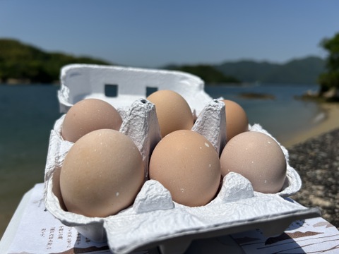 【限定！大寒卵】【『究極の玉子かけご飯』のための玉子 】"コーチン種” 24個-6個入り4パック - 平飼有精卵の『島たまご』！たまごのプリプリ感が凄い！！