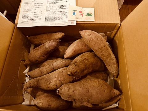 自然栽培〈訳あり べにはるか〉大分県産さつまいも 5kg