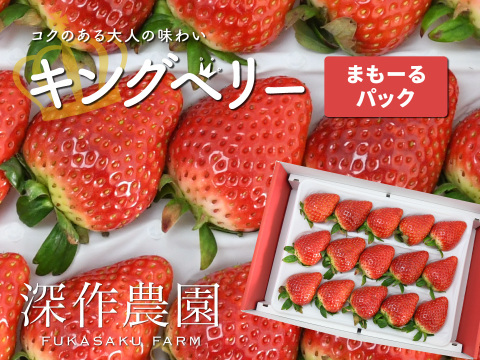 【いちご博2024　さわやかな甘み部門金賞】キングベリー【まもーるパック】苺（いちご・イチゴ）コクのある大人の味わい