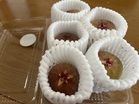 【ご家庭用】【蓬莱柿】広島県竹原市産露地いちじく約1.5kg（15個前後）