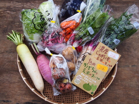 栄養価コンテスト10冠達成！旨み野菜セット【M】
