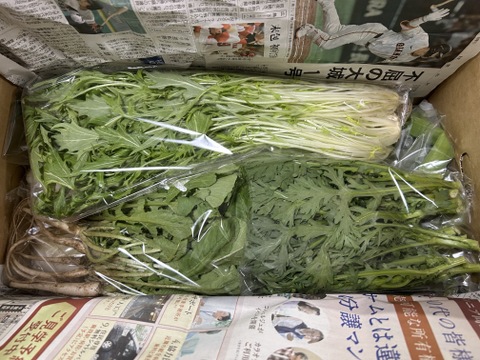 【選べる】オーガニック野菜セット(9品)