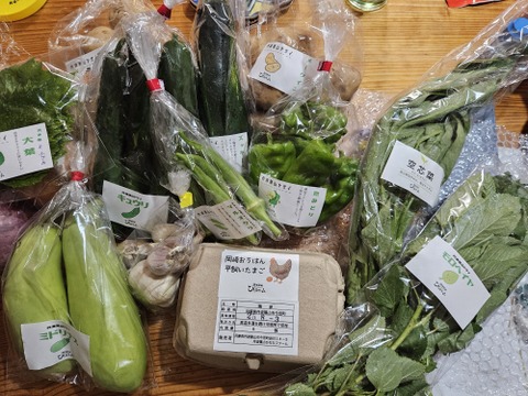 丹波篠山のたまごと夏野菜10種セット