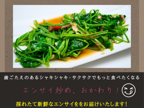 シャキシャキ！暑い夏でも食べたくなるエンサイ(2kg）