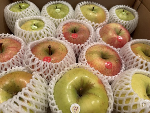 農薬5割減・化学肥料不使用の特別栽培りんご🍎🍏おまかせりんご3種食べ比べ5kg🍎🍏 訳ありご家庭用 りんご詰合せ 化学肥料不使用 青森県特別栽培認証 皮ごとおいしい🍴