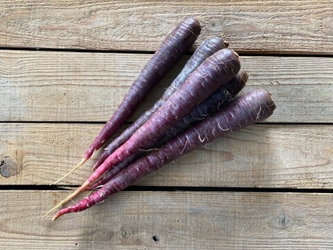 農薬・化学肥料不使用！甘さしっかりダークパープル人参3kg！