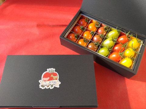 ☆２箱同梱【贈答品】カラフルで甘いミニトマトの詰め合わせ（約３００ｇ）