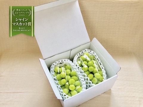 シャインマスカット (約600g×2房) 【ご贈答品】