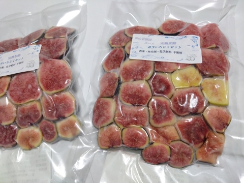 完熟冷凍　希少いちじくお楽しみセット【農薬・除草剤・化学肥料・添加物不使用】
