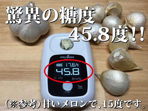 新物　青森県にんにく6キロML +2k L 青森にんにくB品2Lサイズ