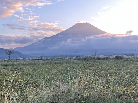 生冷凍麺　忍野十割そば＆二八そば 食べ比べセット 4袋セット　★ 忍野十割そば　260g×2・忍野二八そば　260g×2★十割・二八 お好みで！★発送　産直宅急便★