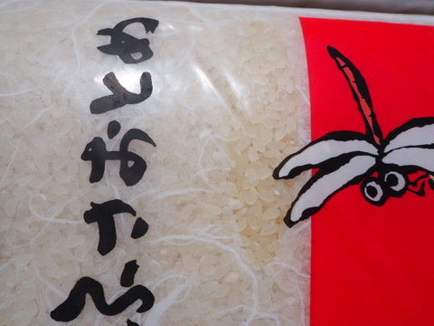 新米　ふさこがね  無洗米　10kg