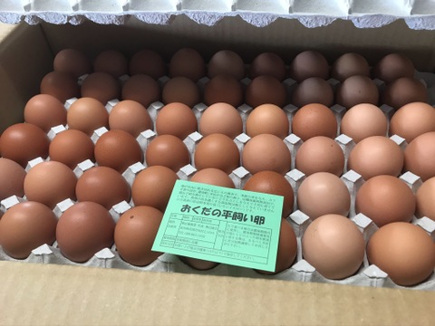 しあわせ卵かけご飯 ちぃたま３０個 平飼い卵